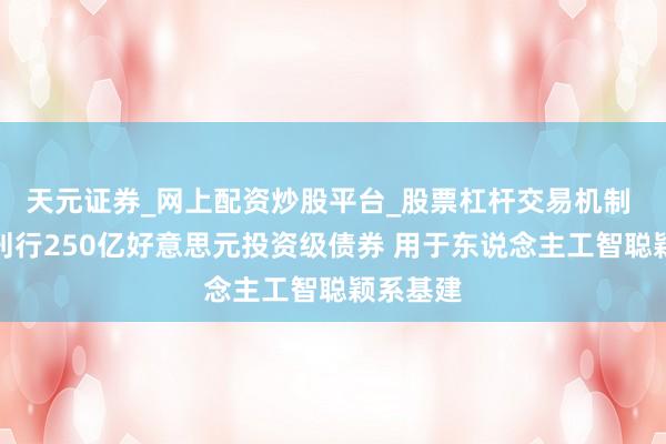 天元证券_网上配资炒股平台_股票杠杆交易机制 甲骨文刊行250亿好意思元投资级债券 用于东说念主工智聪颖系基建