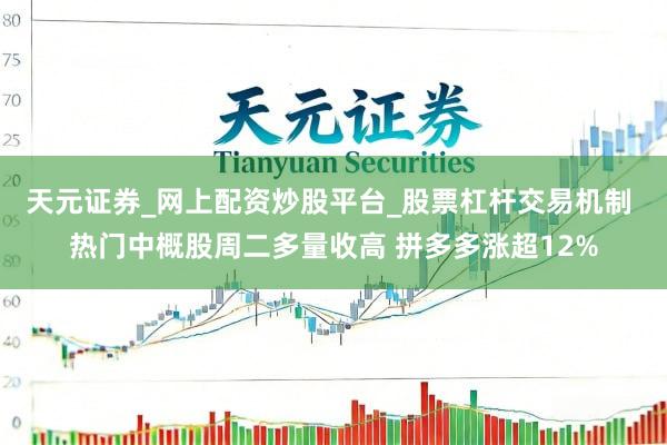 天元证券_网上配资炒股平台_股票杠杆交易机制 热门中概股周二多量收高 拼多多涨超12%